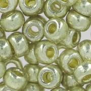 Rocalla Miyuki Duracoat 6/0 4201 - Galvanized Silver|raw }}