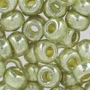 Rocalla Miyuki Duracoat 6/0 4201 - Galvanized Silver