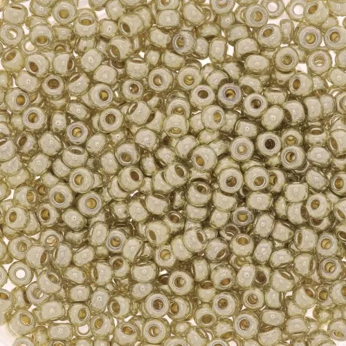 Rocalla Miyuki Duracoat 11/0 4201 - Galvanized Silver