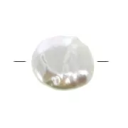 Cuentas de perlas de agua dulce irrregular  - ovalado - 12x13 mm Blanc x1