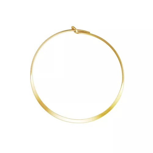 Aros aplanadas forma redonda a decorar 30 mm de Gold filled x2