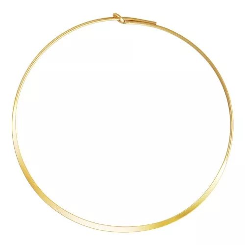Aros aplanadas forma redonda a decorar 44 mm de Gold filled x2