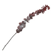 Flor secas para creaciones DIY personalizadas  x5
