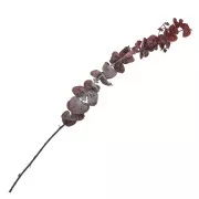 Flor secas para creaciones DIY personalizadas x5