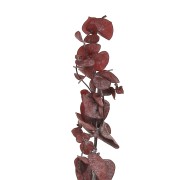 Flor secas para creaciones DIY personalizadas  x5