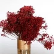 Flor secas para creaciones DIY personalizadas  x5