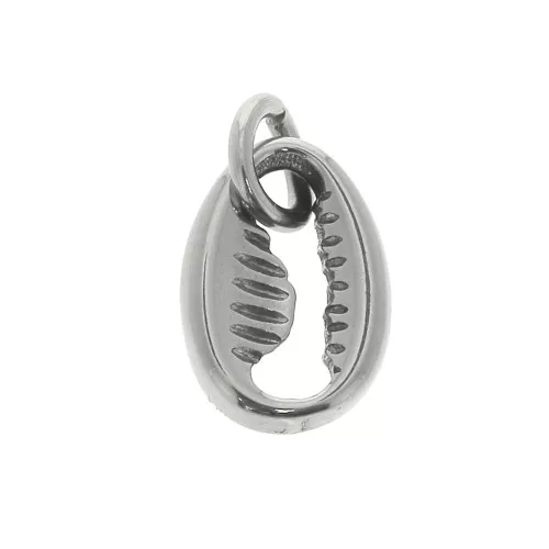 Dije concha Cauri 11.5x8 mm con anilla abierta - Acero inoxidable x1