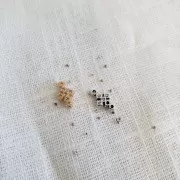 Cabuchones redondos de resina 1 mm Crystal x2gr