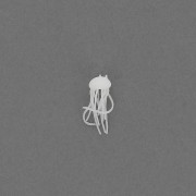 Medusa de plástico 11 mm para accesorios y joyas resina de inclusión - Blanco x1|raw }}