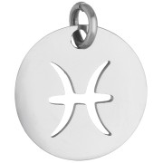 Dije redondo - signo del zodiaco Piscis, 12 mm - Acero inoxidable 304 x 1