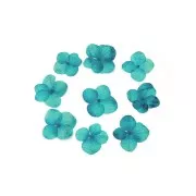 Flores secas y prensadas con plancha - Hortensia azul x1