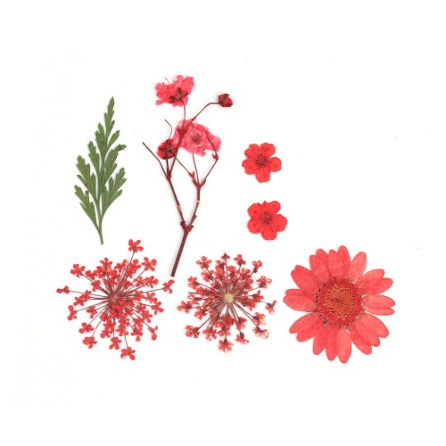 Flores secas y prensadas con plancha para DIY - Rojo x1
