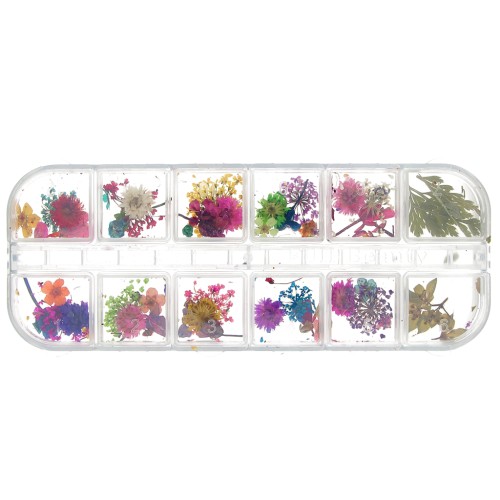 Surtido en caja de 40 flores secas y prensadas - Multicolor