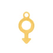 Dije símbolo masculino 12x6 mm - Acero inoxidable Dorado x1|raw }}