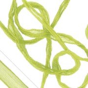 Cinta de seda Anís x1m