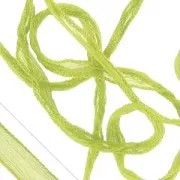 Cinta de seda Anís x1m