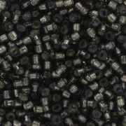 Miyuki Delica 11/0 DB0613 - Dyed Silver Lined Dark Gray