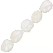 Cuentas de agua dulce Keshi - cuentas irregulares 11 mm - Blanco nacarado x6