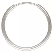 Ganchos pendientes 16 mm de Plata 925 x2