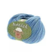 Lana Minerva n°21 - 100% Merinos - Multi azul x50g