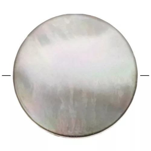 Perla plana en forma de paleta de nácar teñido 10 mm - Gris x1