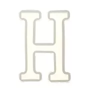 Molde de silicono para hacer la letra H de resina 40X26 mm x1