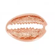 Entrepieza concha Cauri 19x13 mm de Plata 925 Rodiado negro x1