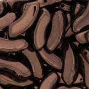 Cuentas de vidrio QuadBow Bead 6x15 mm - Dark Bronze x10