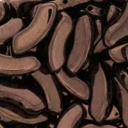 Cuentas de vidrio QuadBow Bead 6x15 mm - Dark Bronze x10