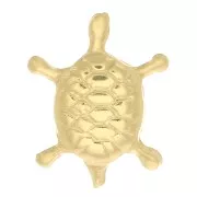 Accesorios forma de tortuga para pegar 9.5x7.5 mm de Gold filled x1