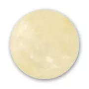 Redonda Polaris polsweet 12 mm Crystal Golden Shadow x1