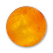 Redonda Polaris polsweet 8 mm Topaz x1