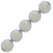 Cuentas nacaradas Preciosa Round Pearl Maxima - 12 mm Pearlescent Grey x6