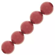 Cuentas nacaradas Preciosa Round Pearl Maxima - 12 mm Cranberry x6