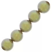 Cuentas nacaradas Preciosa Round Pearl Maxima - 10 mm Pearlescent Khaki x5