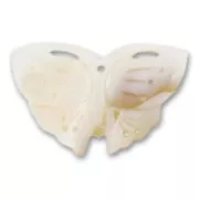 Flor de Nácar 25x41 mm Natural x1