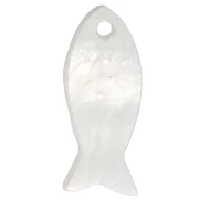 Cuentas de pez de nácar de 21,5 mm - Natural x10