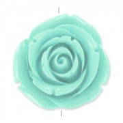 Rosa 35 mm Mint x1|raw }}