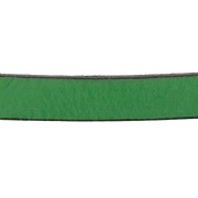 Cordón plano cuero 10 mm Verde abeto x30cm|raw }}