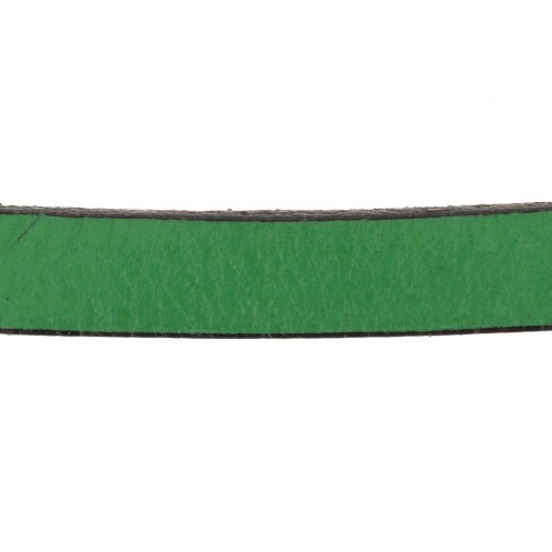 Cordón plano cuero 10 mm Verde abeto x30cm