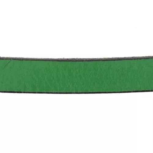 Cordón plano cuero 10 mm Verde abeto x30cm