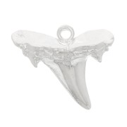 Colgante dent de requin 13x16 mm - Chapado Plata fino x1|raw }}
