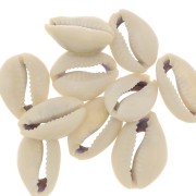 Surtido de conchas Cauri entre 18 y 20 mm - Natural x10