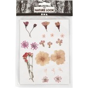 Flores secas y prensadas con plancha para DIY - Rosa claro x 1