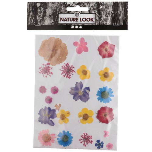 Flores secas y prensadas con plancha para DIY - Panaché x 1