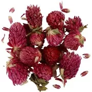 Surtido de flores secas - Trebol rojo - Violet x15g