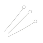 Clavos de cabeza redonda 30x0,6 mm - Acero inoxidable 304L x10|raw }}