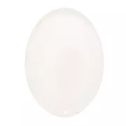 Cabuchón ovalado de resina epoxi 18x13 mm - Transparente x1
