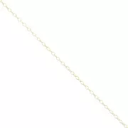 Cadena malla Forçat 2 mm Gold filled x50cm