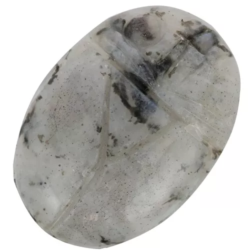 Cabuchón ovalado grabado escarabajo 25x18 mm de piedra gema - Labradorite x1
